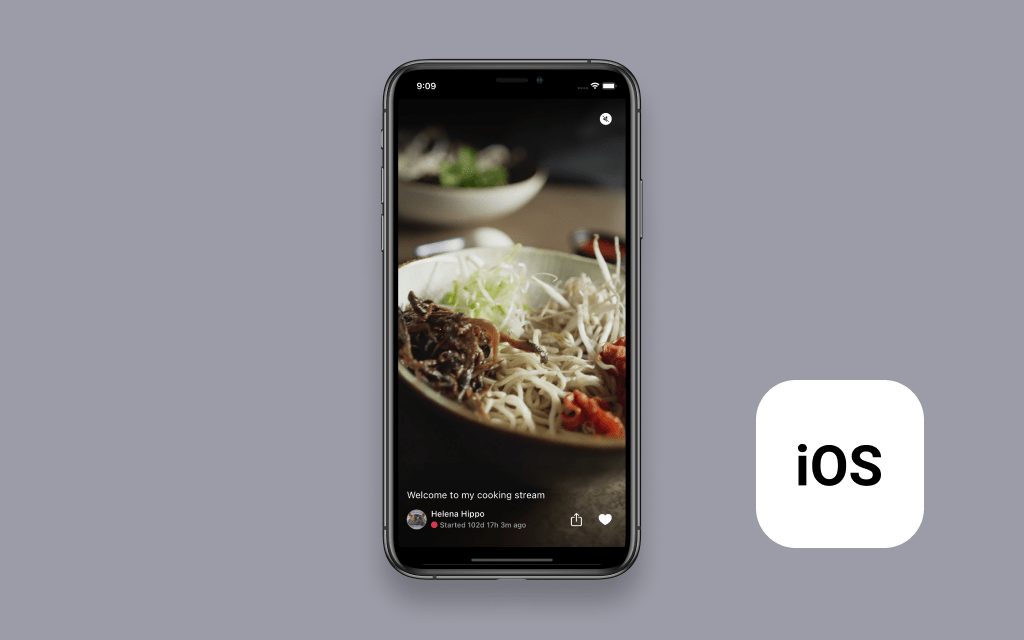 screenshot of the iOS app running on an iPhone